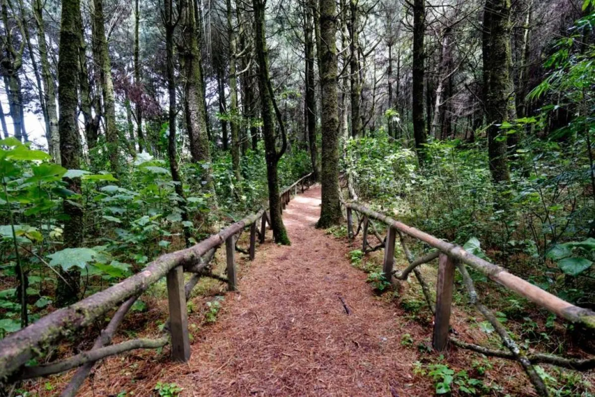 Guía Turística Completa del Sendero Ecológico El Aprisco